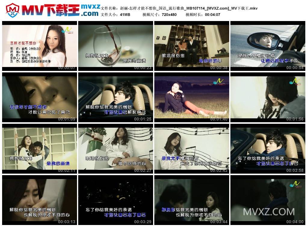 赵丽-怎样才能不想你_国语_流行歌曲_MB107114